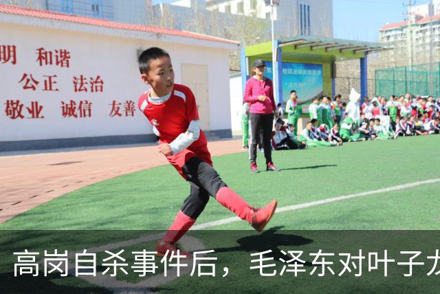 高岗自杀事件后，毛泽东对叶子龙透露的深思